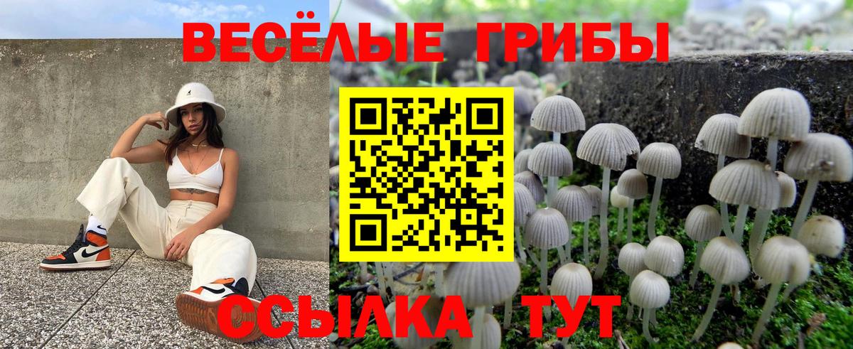 Александров  Галлюциногенные грибы Magic Shrooms  Вход с VPN 