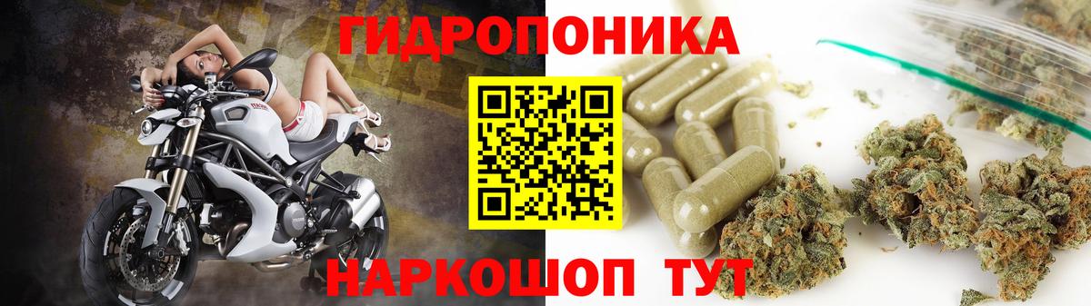 Каннабис гибрид Александров